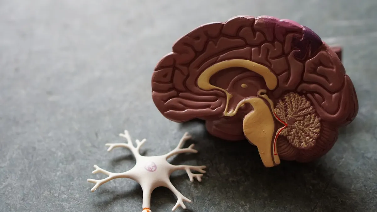 Brain waves and neural activity visualization