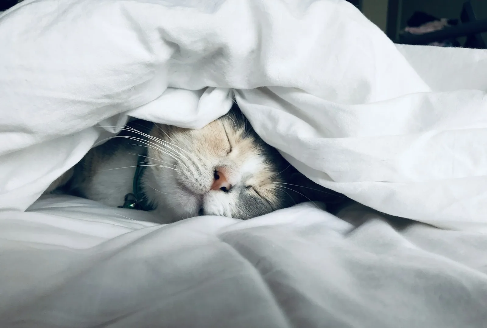 The 90-Minute Sleep Cycle: How to Calculate Your Ideal Wake-Up Time